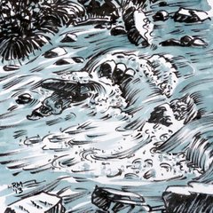 Swirling Downstream Rob MacGillivray ink water watercolour