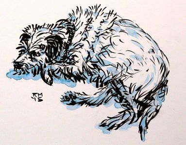 Scruff border terrier ink by rob macgillivray