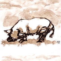 Big fat pig Rob MacGillivray porcine porker piggy drawing
